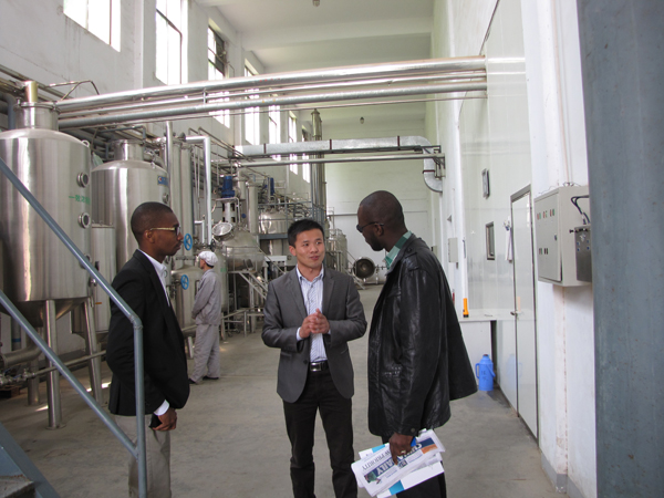 ���������͑��Ѹ�_������