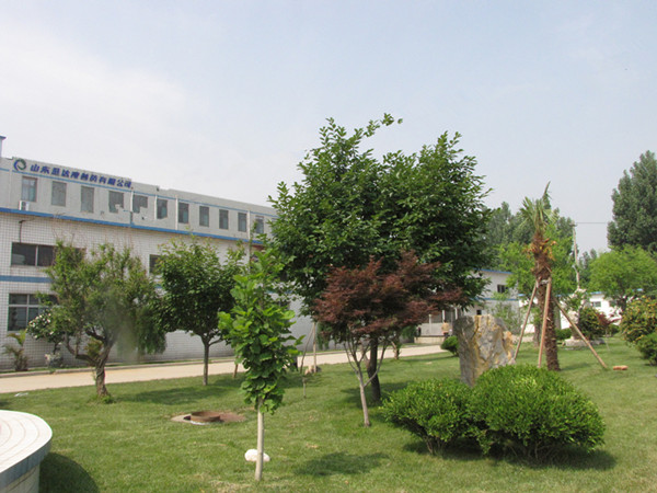 Ѹ�_(d��)��һ��