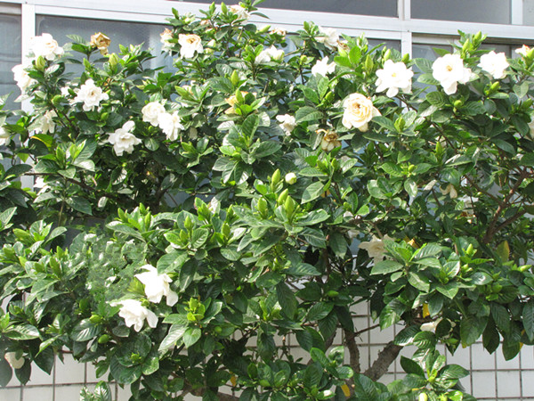 Ѹ�_(d��)��һ��