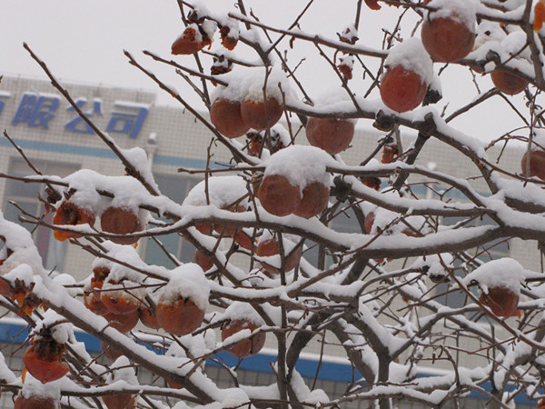 �t������Ӱlչ��Ѹ�_��