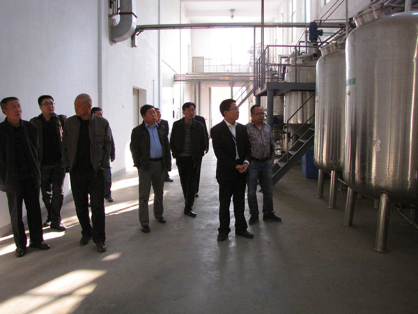 ����͑��Ѹ�_�����^