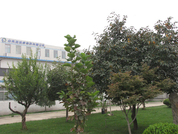 Ѹ�_��һ��