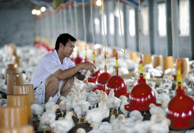 ���u�B(y��ng)ֳ