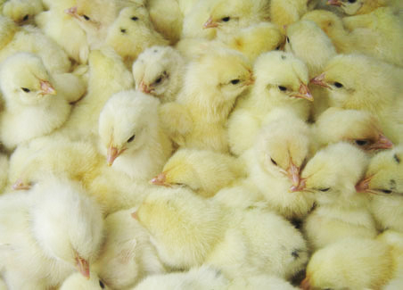 �r�u����