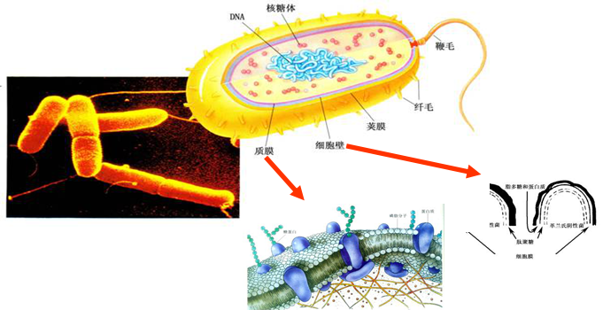 �����Y��