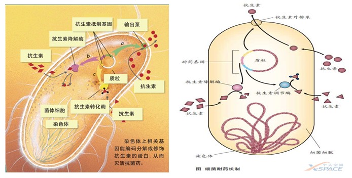��(x��)����ˎ�C(j��)��