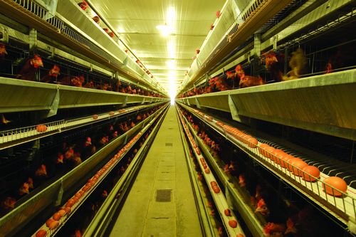 ���u����