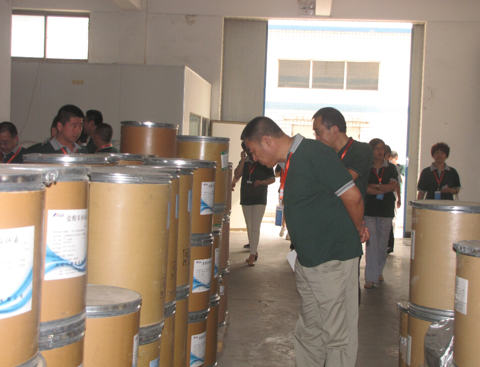 Ѹ�_�������I���͑�����Ѹ�_���Fˎ�}��