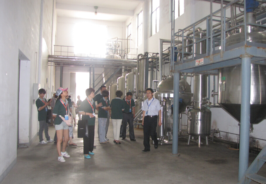 Ѹ�_�������I���͑�����Ѹ�_���Fˎ�ЫFˎ��ȡ܇�g