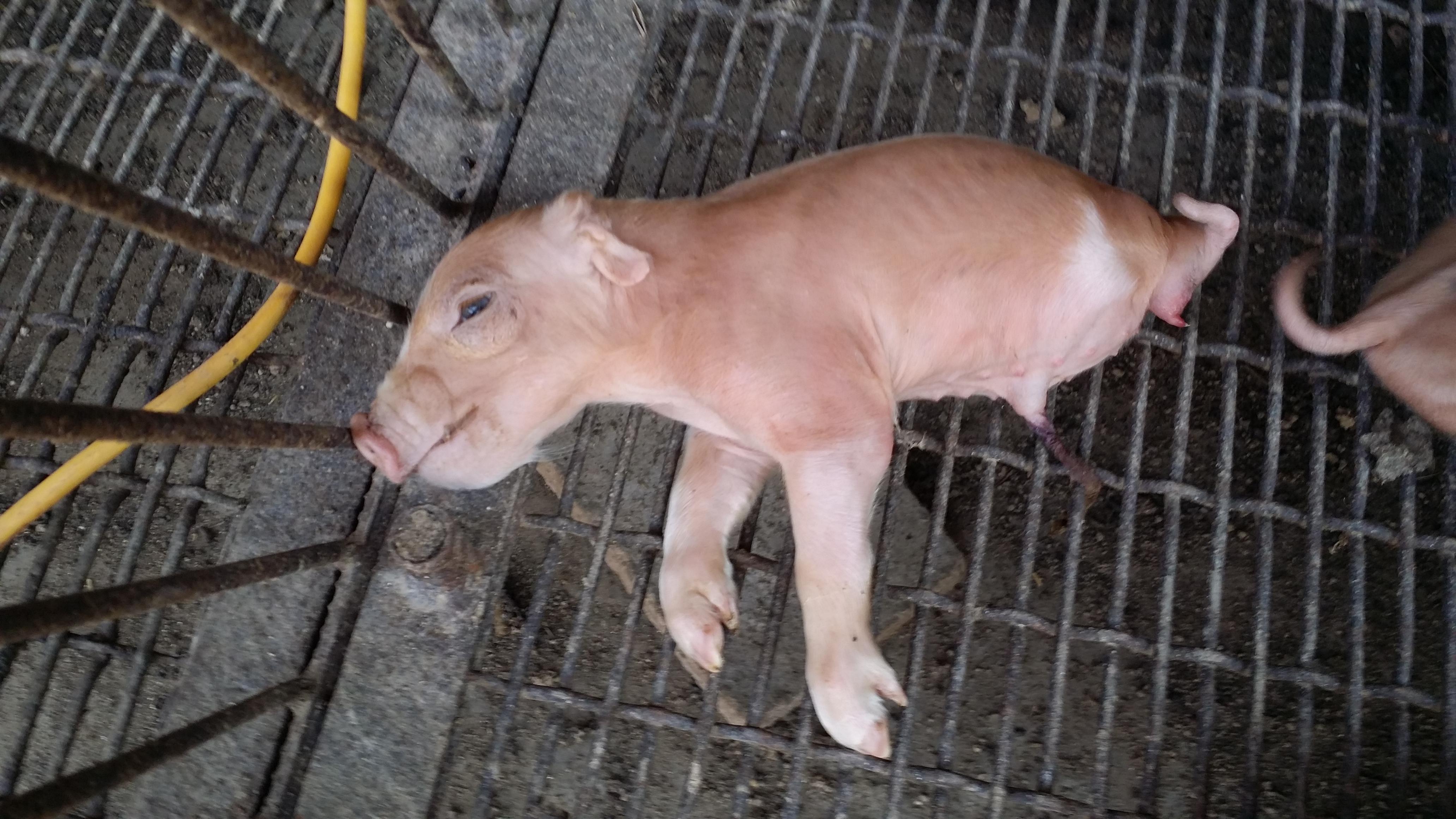 ù������