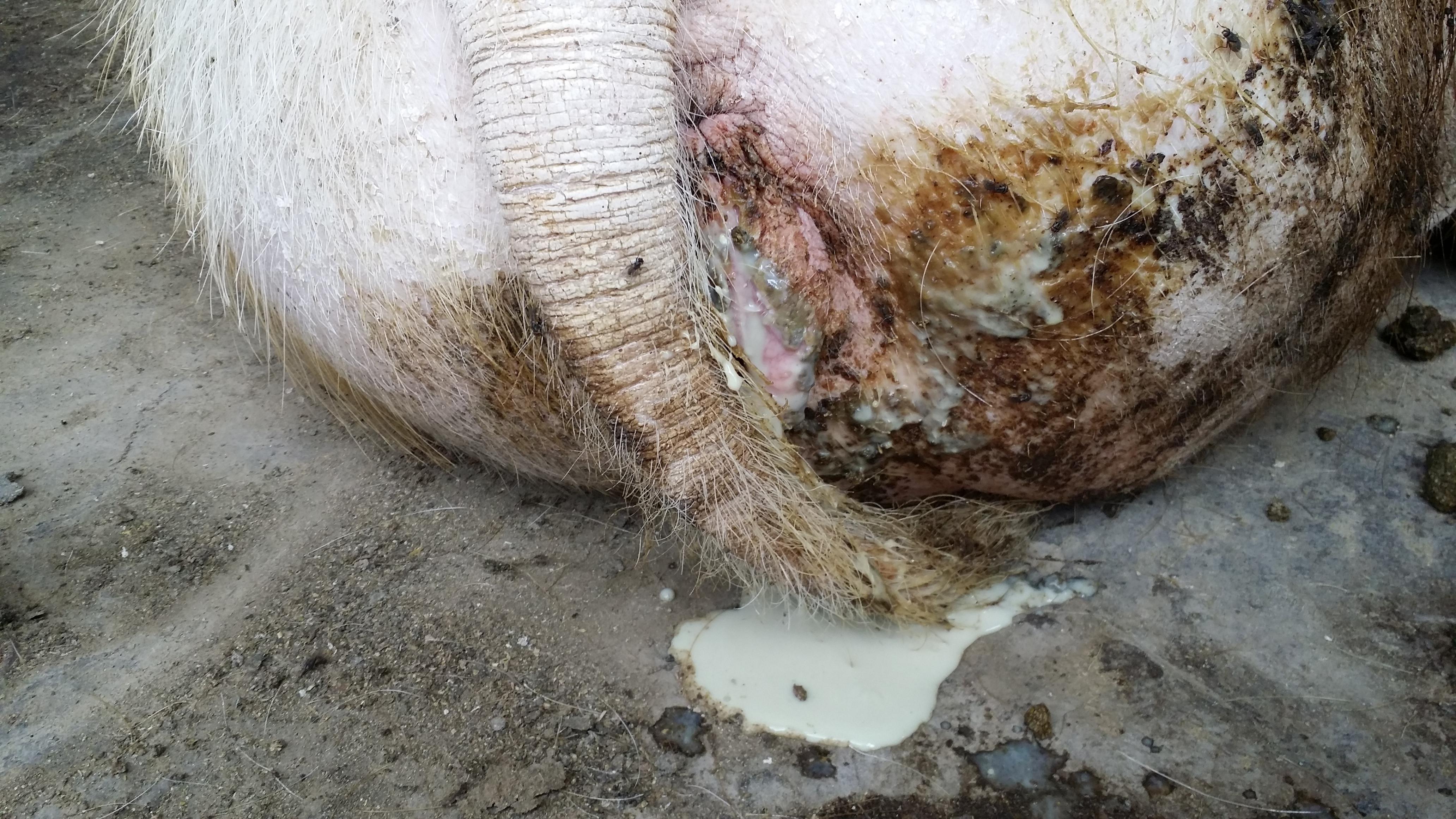 ù������