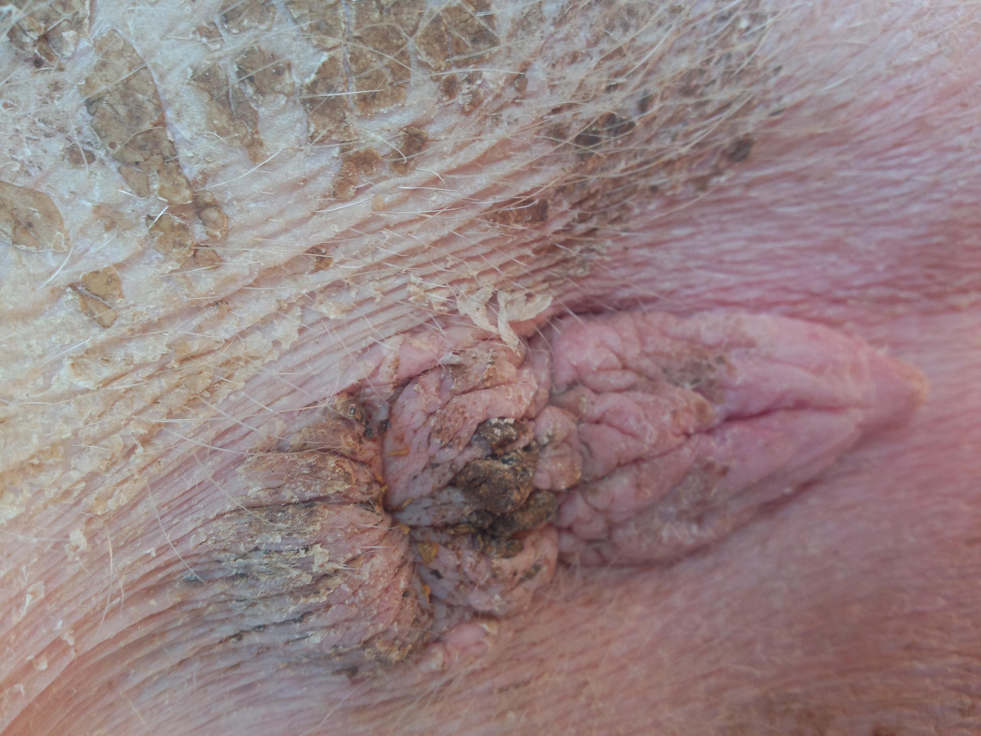 ù������