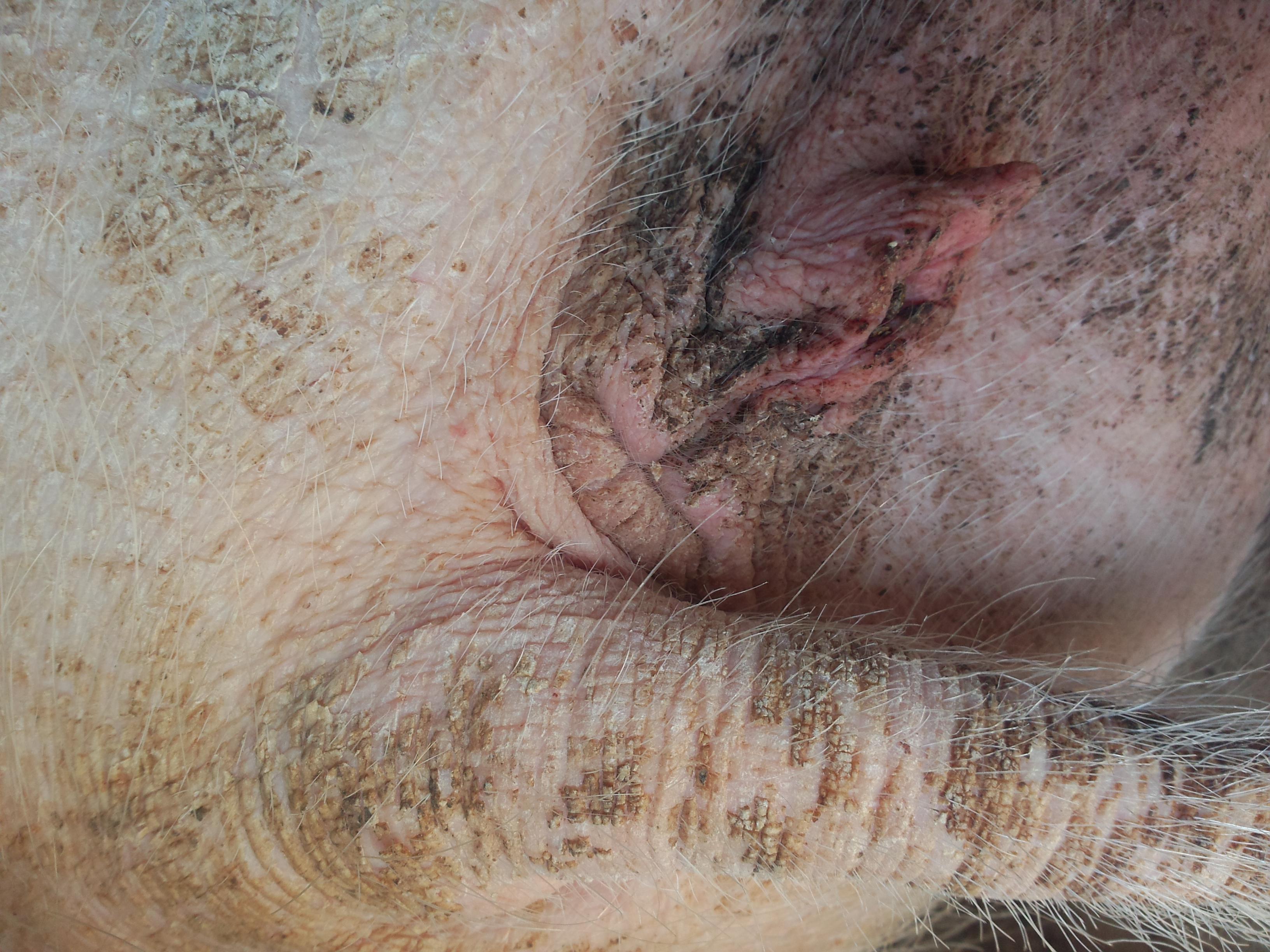 ù������