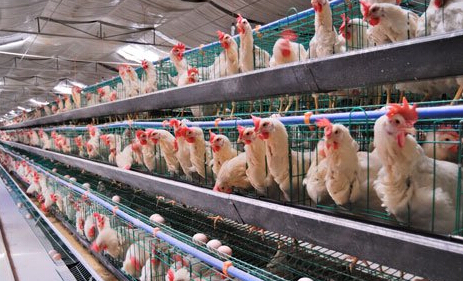 ���u�I��֧