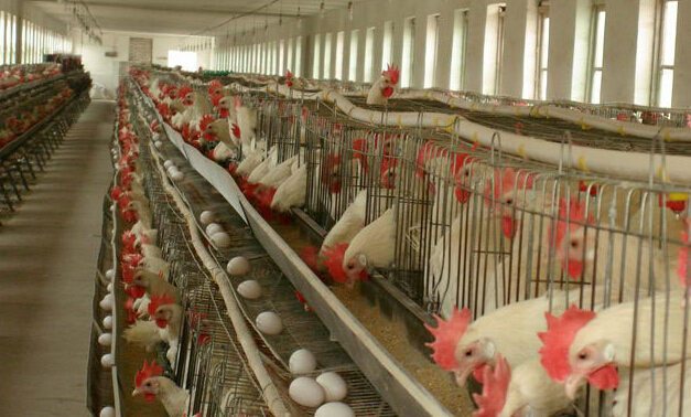 ���u�a(ch��n)����