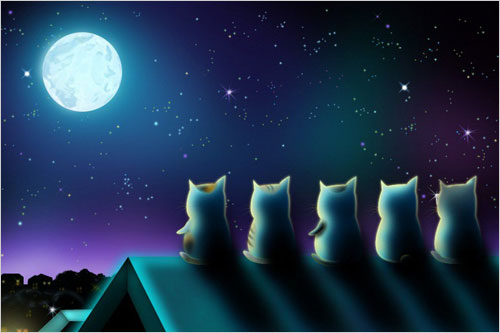 �����p��