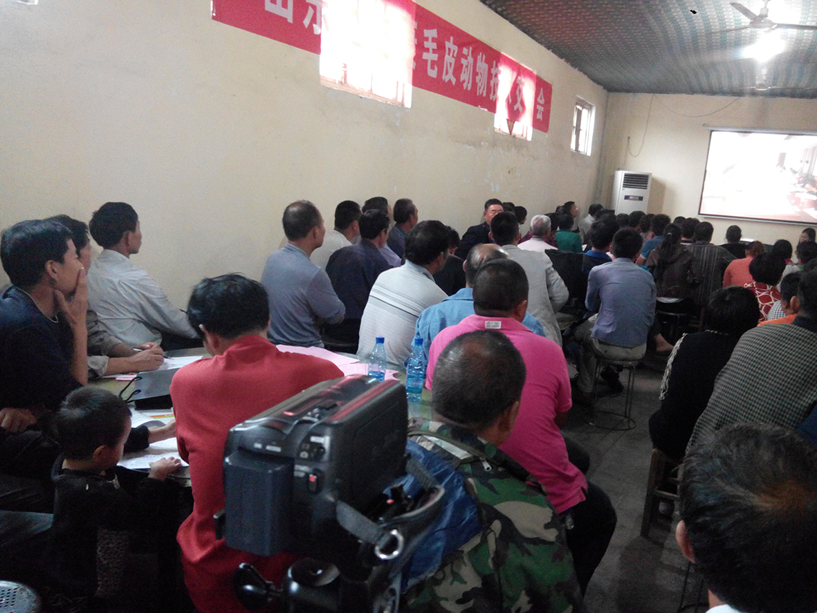 Ѹ�_(d��)���FˎëƤ���h