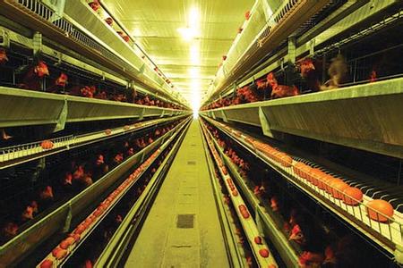 ���a(ch��n)���u