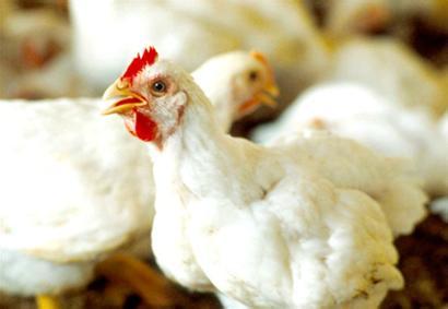 ���u����������