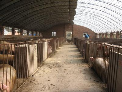 �Fˎ���ҽ��� �Bֳ�Эh�����iȺ��Ӱ���Ҫ��