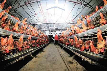 ��ˎ���ҽ��� �����¸���Ҫ��һ��