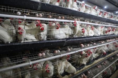 ���u��̭�҂�ԓ�W����Щ