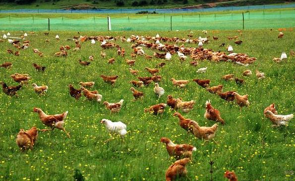 ��ˎ���ҽ������B�u�^�������Ч��ֹ������M