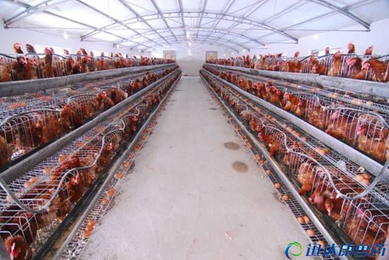 ɢ�B���u�{�x�����J�R_��ˎ����