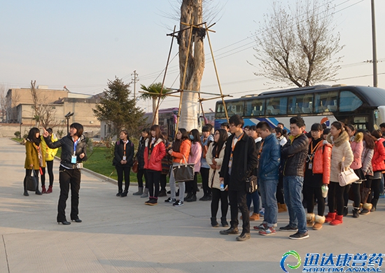 �L���W�ǌW�����^Ѹ�_��