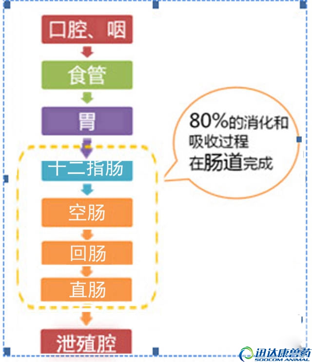 ���u�c��