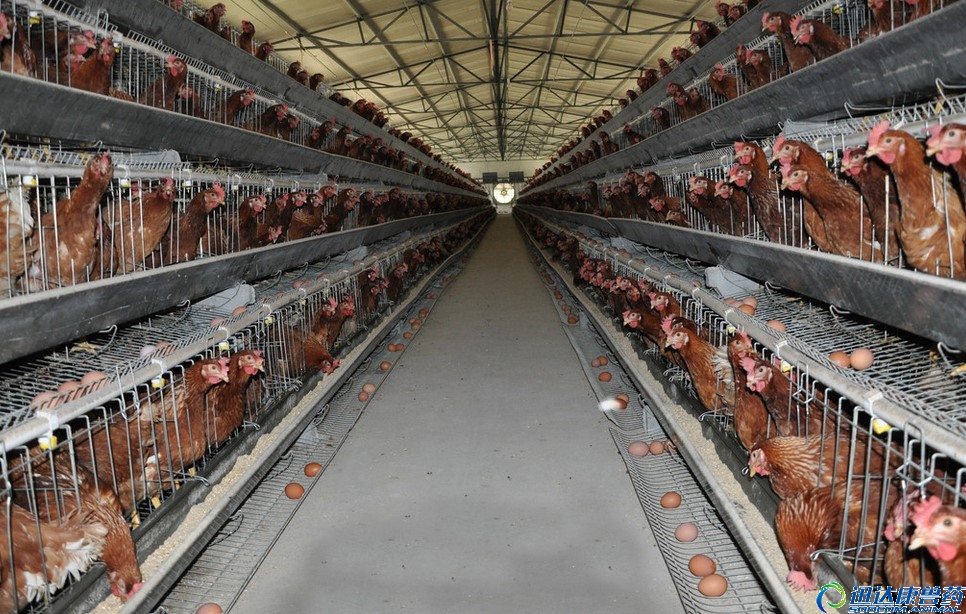 ���u��B(y��ng)