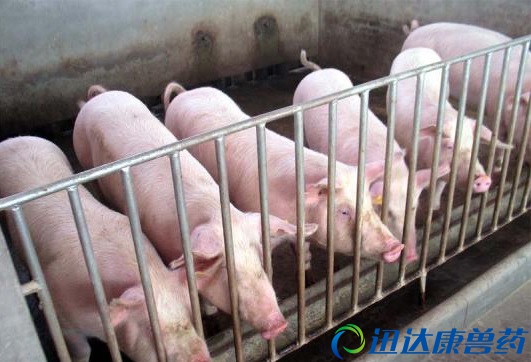 �ķN��ʽ�B�i���m�ϣ�