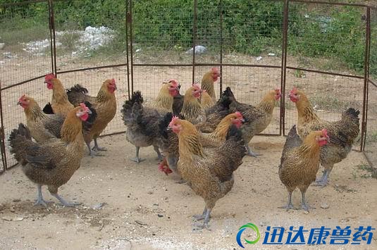 ���_���u