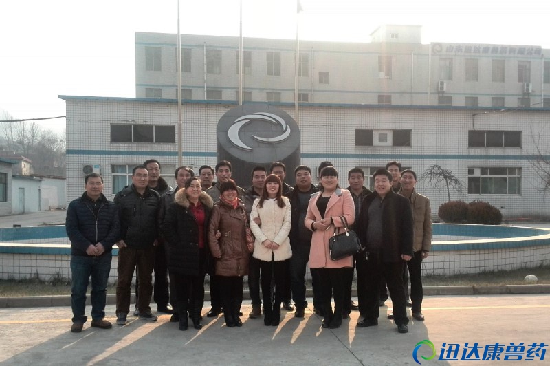 �����I(y��)���͑���Ѹ�_���Fˎ���޹�˾��Ӱ