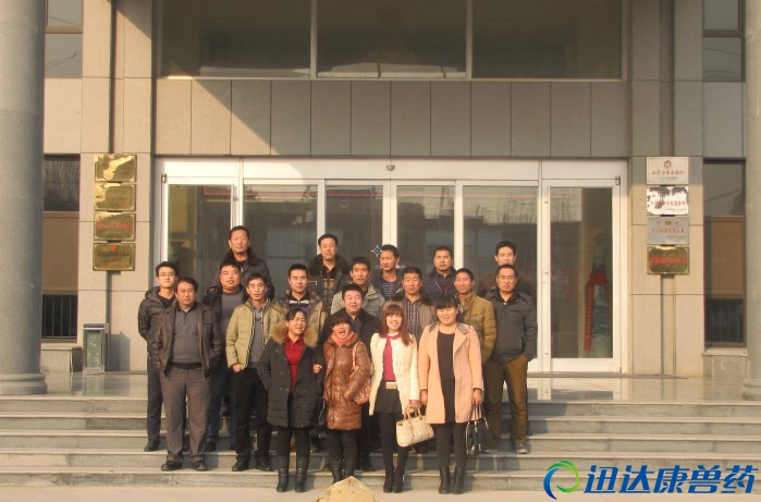 �����I(y��)���͑���Ѹ�_������Ƽ����F��Ӱ