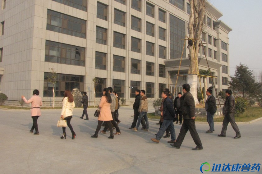 �����I(y��)���͑��^���F�S�^(q��)