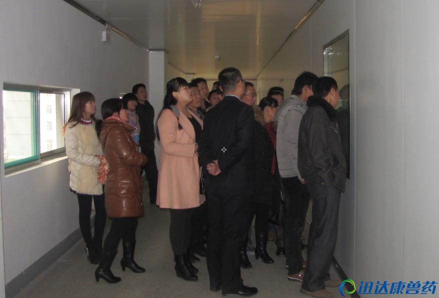 �����I(y��)���͑��^���a(ch��n)܇�g