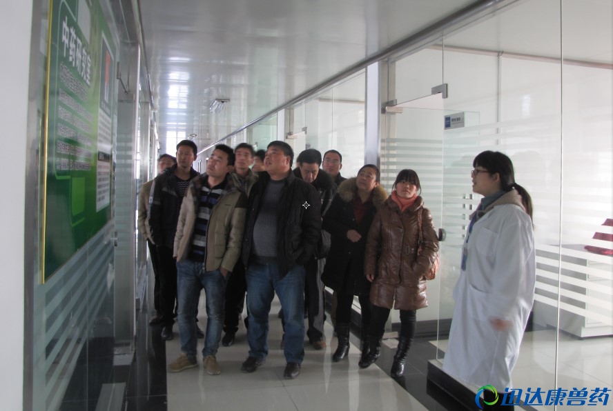 �����I(y��)���͑����F�аl(f��)����