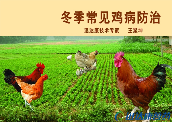 Ѹ�_�����g