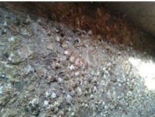 һ�����u�c���C�����ί�����