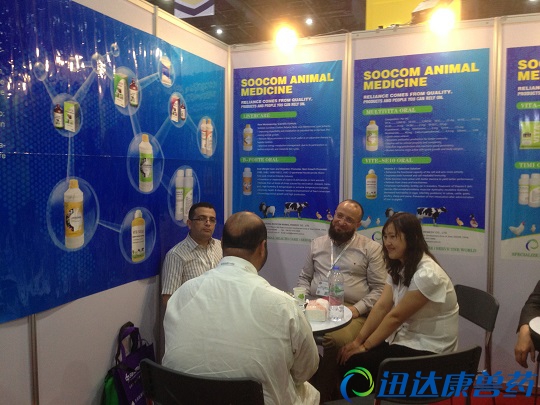 Ѹ�_(d��)�����F���Q(m��o)��������ɺɺ�c���H�͑��H�н�Մ