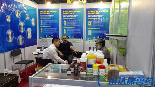 Ѹ�_(d��)�����F���Q(m��o)����(j��ng)�턢�����c���H�͑��H�н�Մ