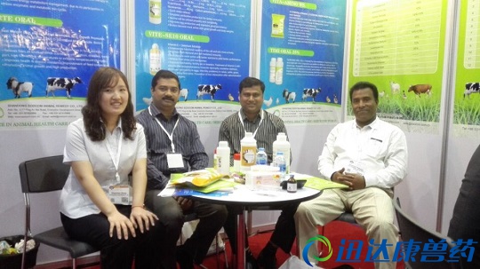 Ѹ�_(d��)�����F���Q(m��o)��������ɺɺ�c���H�͑���Ӱ����