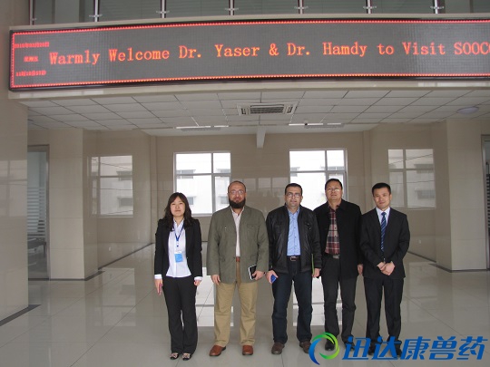 �����͑��W�RѸ�_������Ƽ����F���^����