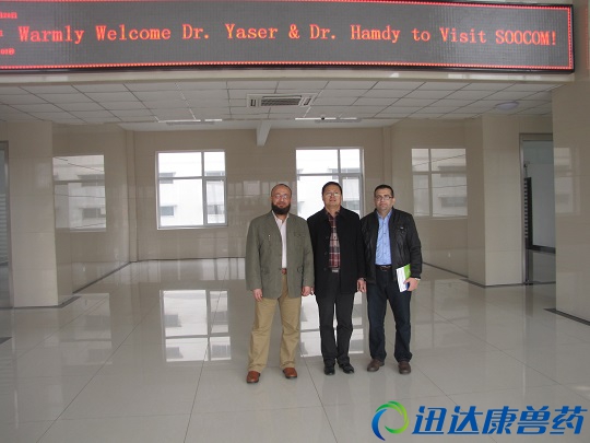 �}��������c�����͑���Ӱ����