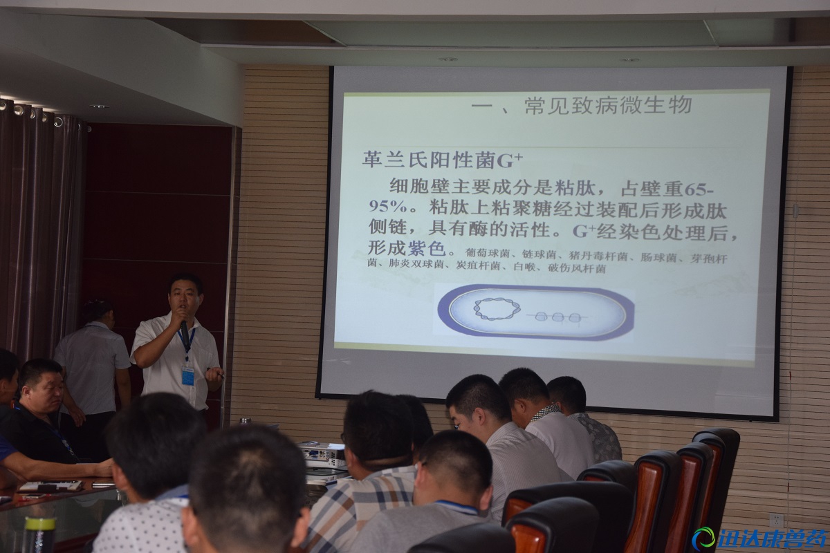 Ѹ�_�������g���������ώ�