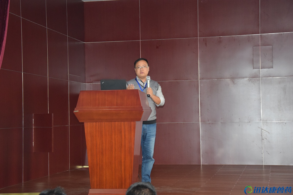 Ѹ�_�����F-�N�۾�Ӣ��I��