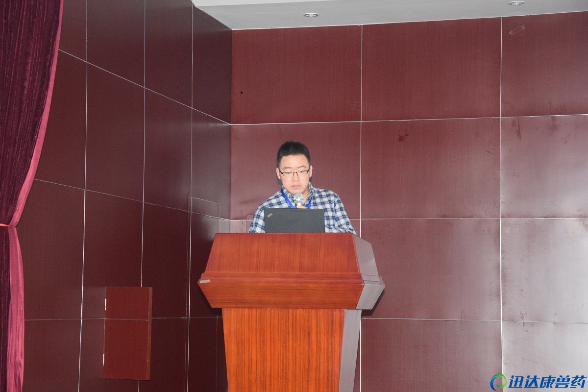 Ѹ�_�����F-�N�۾�Ӣ�����