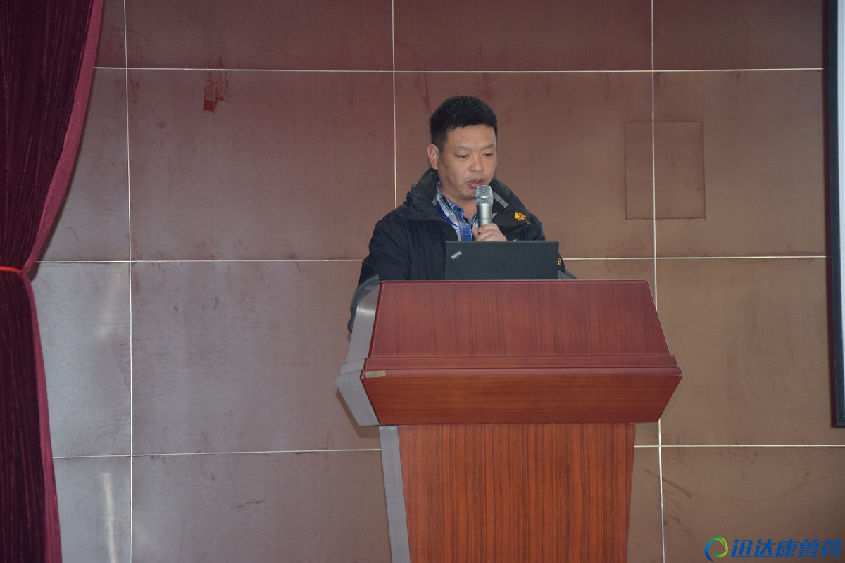 �|���ֹ�˾����������