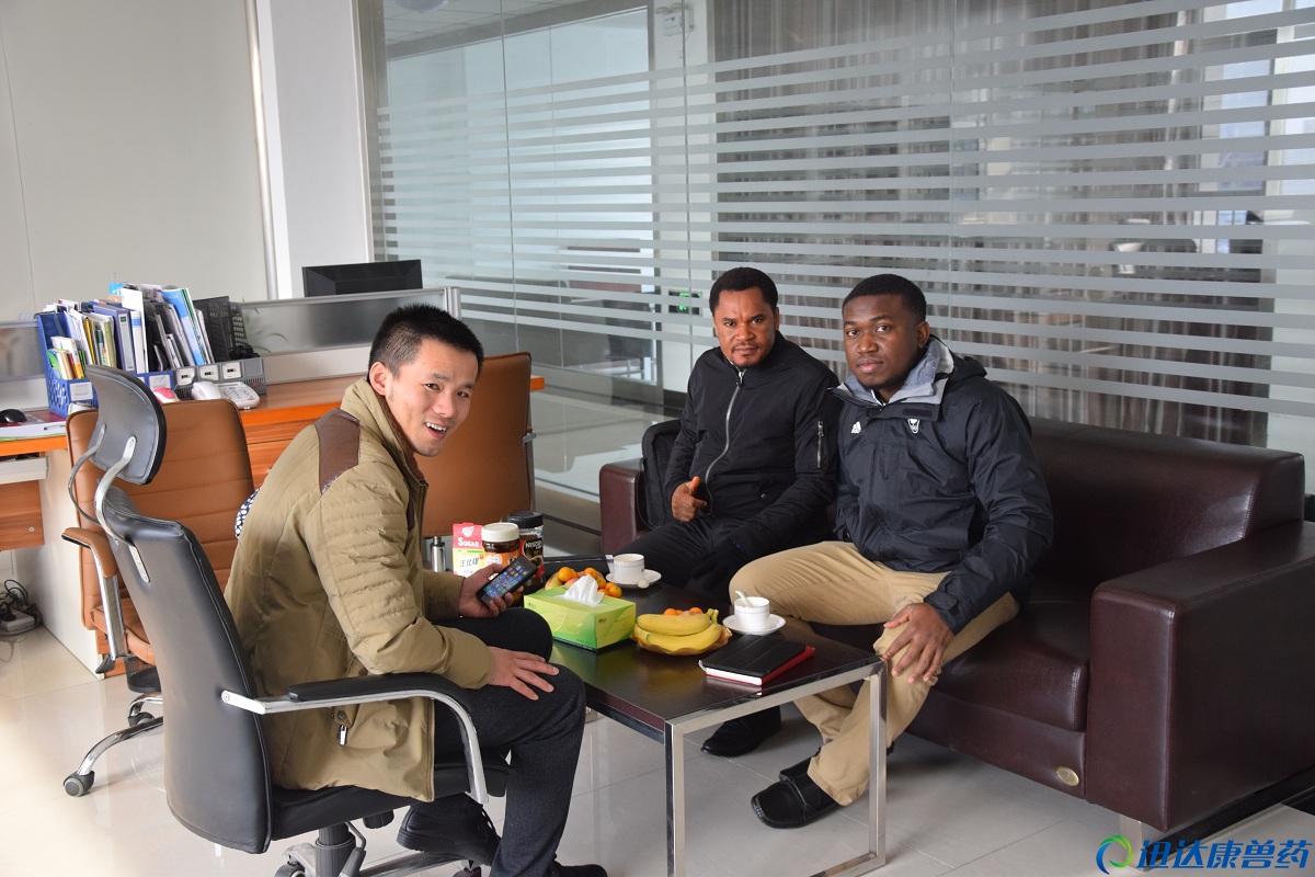 �������� ���Q������ò